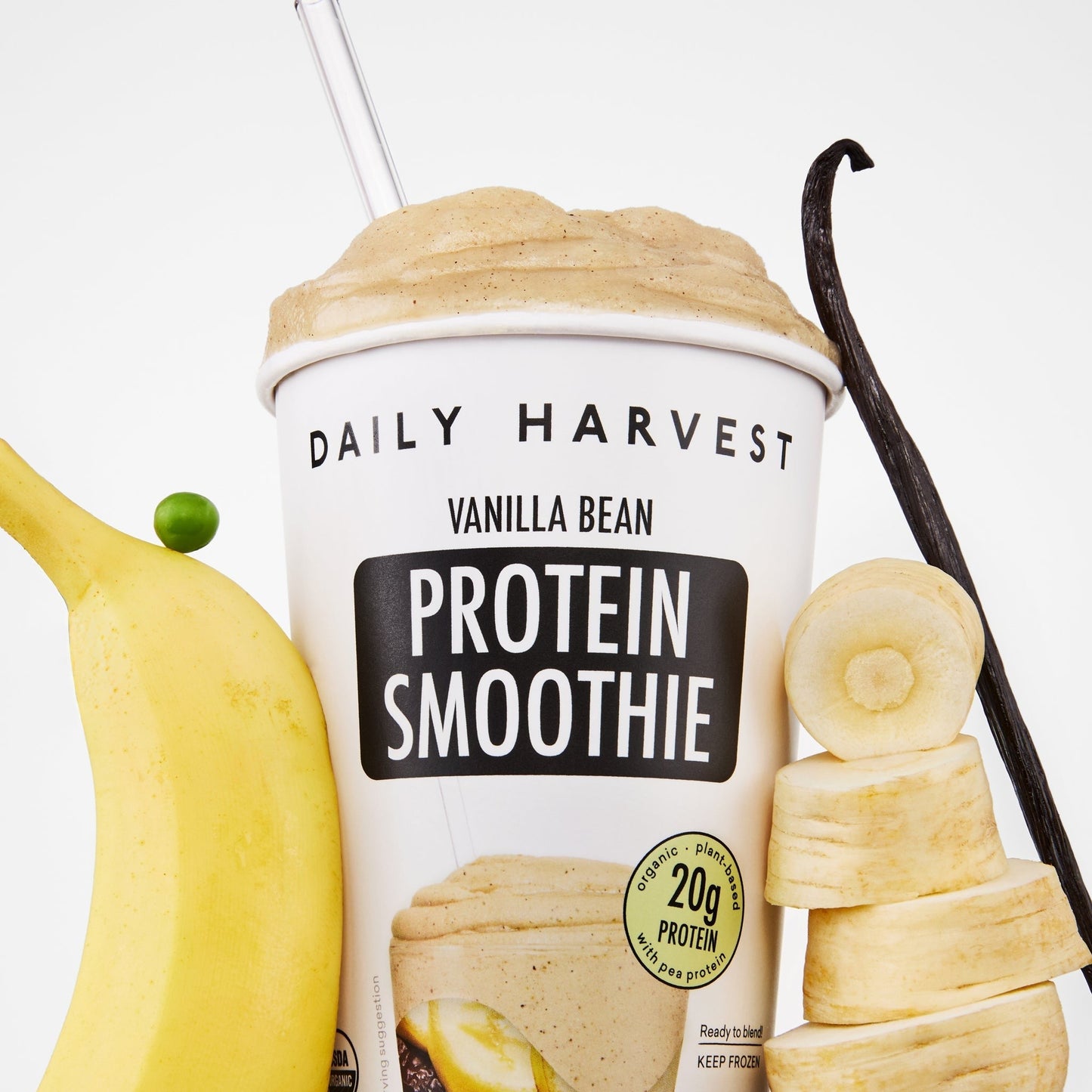 Vanilla Bean Protein